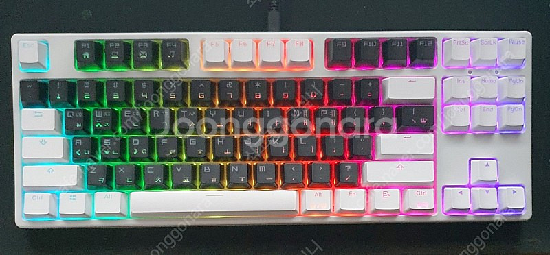 키보드 닌자87RGB 유선 갈축 (핫스왑)--4