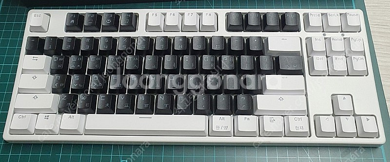 키보드 닌자87RGB 유선 갈축 (핫스왑)--5