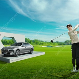 서원힐스 bmw lpga 레이디스 골프 일요일 갤러리 티켓 2매 판매