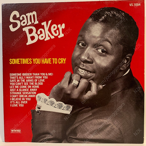 Sam Baker – Sometimes You Have To Cry LP