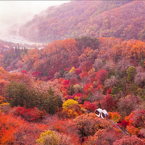 화담숲 11월2일 오전8시30분 3매