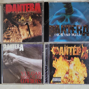 판테라(PANTERA) 시디 모음