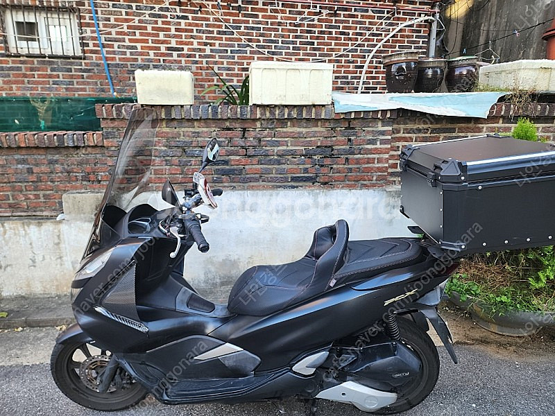 pcx 19년식--0