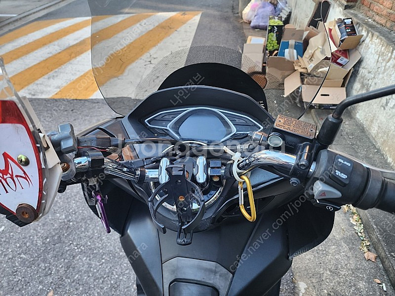 pcx 19년식--1
