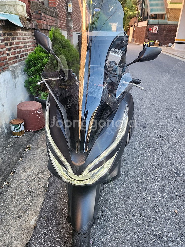pcx 19년식--7