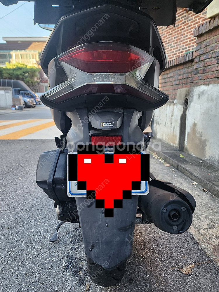 pcx 19년식--8