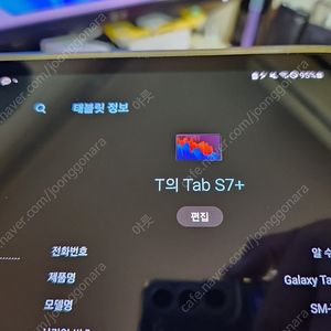 갤럭시탭 S7+ 256 셀룰러