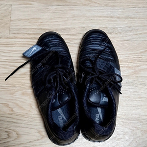 로말레오3xd 265 판매합니다
