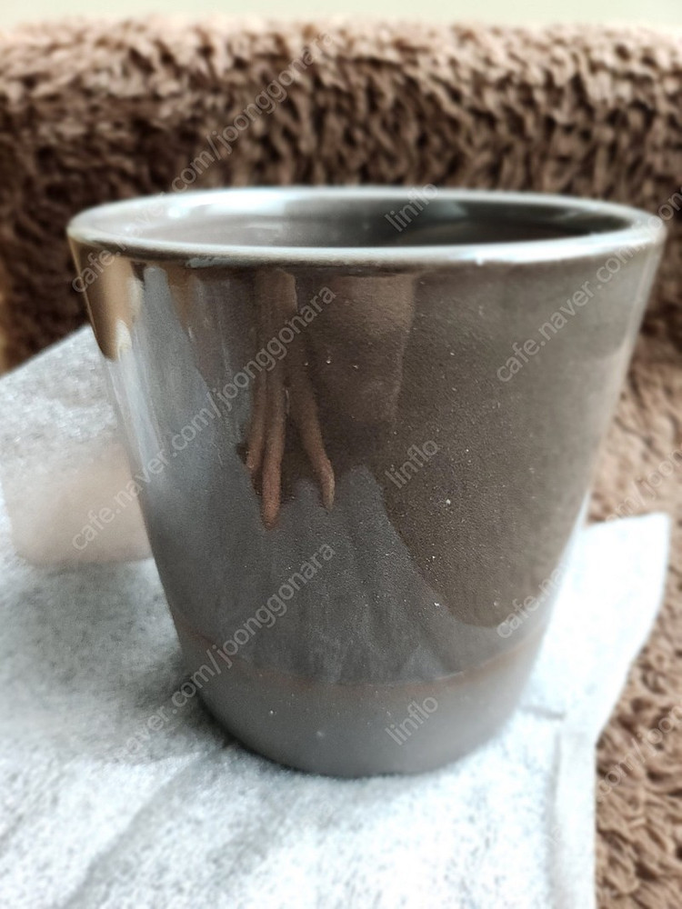 두갸르송 그린회오리비올레27 . 모카 회오리 비올레27 오리지날 회오리비올레27. 고화도 비올레 27. 그린벨 24...--3