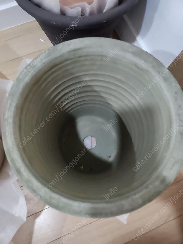 두갸르송 그린회오리비올레27 . 모카 회오리 비올레27 오리지날 회오리비올레27. 고화도 비올레 27. 그린벨 24...--5