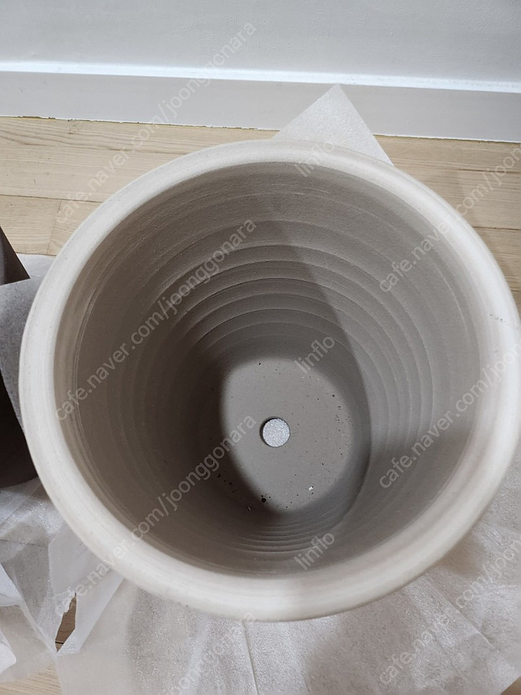 두갸르송 그린회오리비올레27 . 모카 회오리 비올레27 오리지날 회오리비올레27. 고화도 비올레 27. 그린벨 24...--8