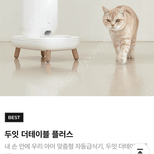 두잇 더테이블 플러스 자동급식기