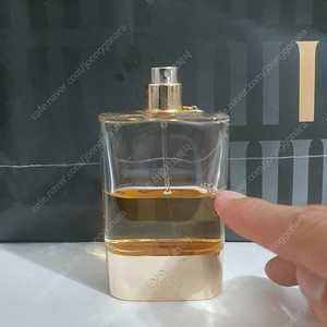 끌로에 러브 EDP 50ml 향수 (15)