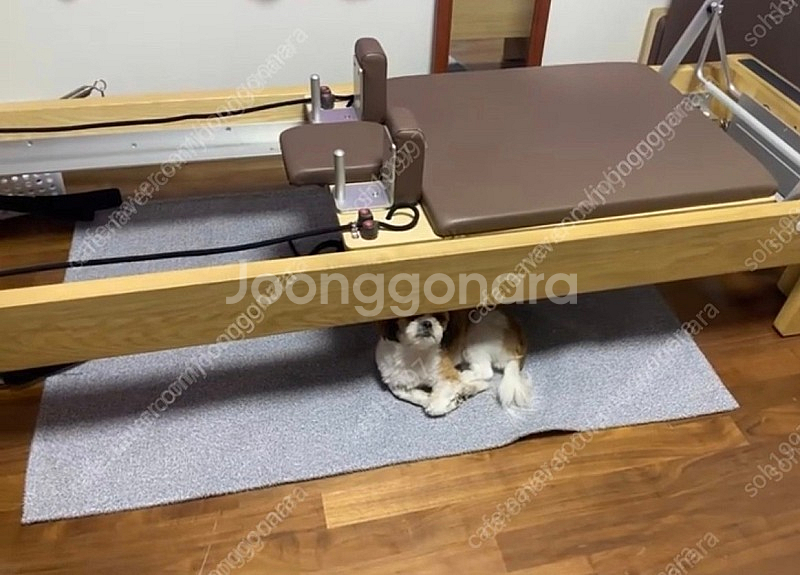 옹이필라테스 콤비리포머--3