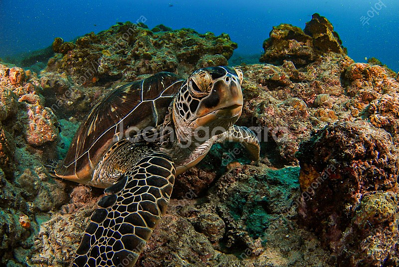 (가격다운) A6400 아이켈라이트 세트 판매합니다--1