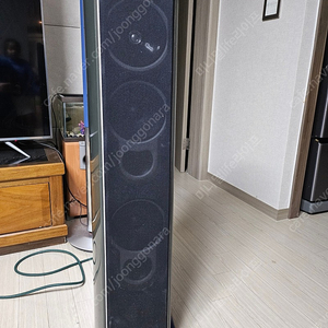 kef 하이앤드 스피커 xq5