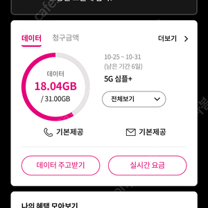 LG U+ 데이터 2GB 4000원