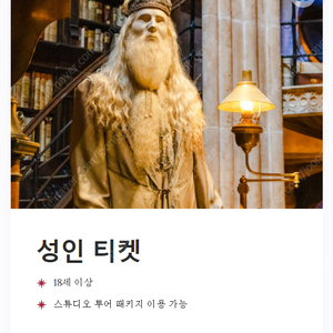 도쿄 해리포터스튜디오 11월17일 금요일 오전티켓 2매 구매합니다!!