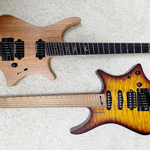 스트랜드버그 일렉기타 strandberg boden 6 쉑터 커스텀샵 픽업