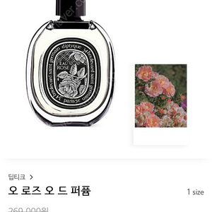 딥디크