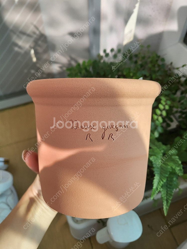 두갸르송 듀가르송 화분 판매--0