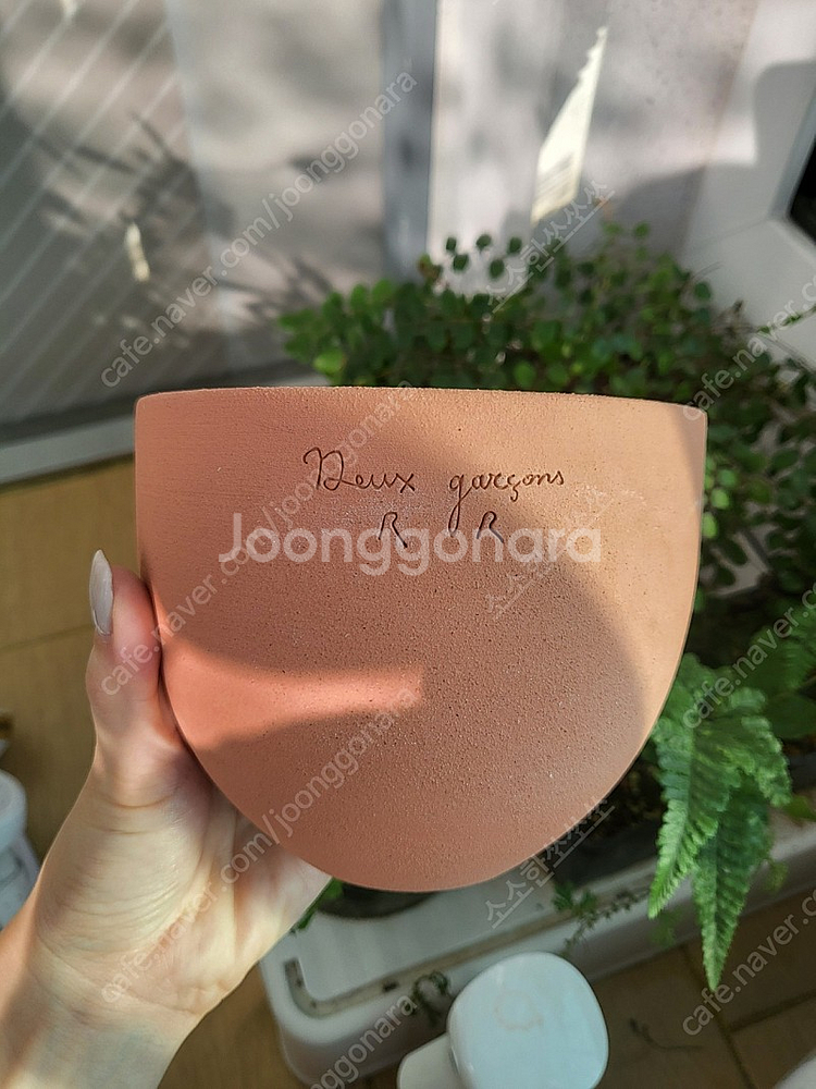 두갸르송 듀가르송 화분 판매--1