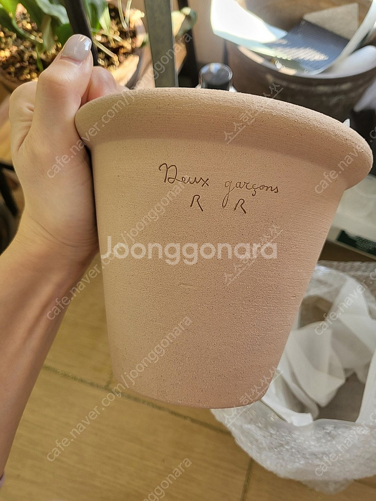 두갸르송 듀가르송 화분 판매--2