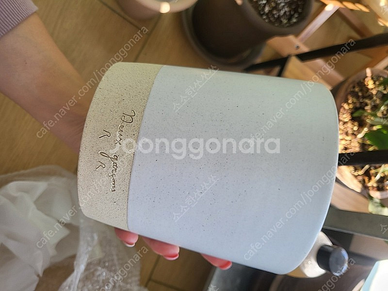 두갸르송 듀가르송 화분 판매--3