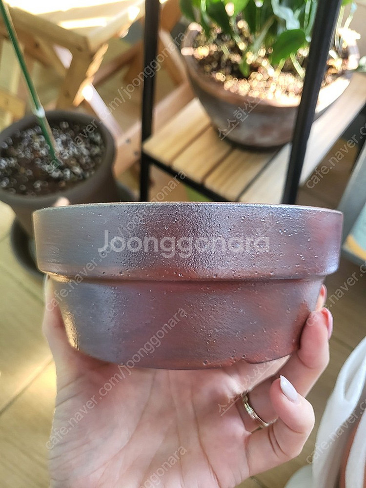 두갸르송 듀가르송 화분 판매--4