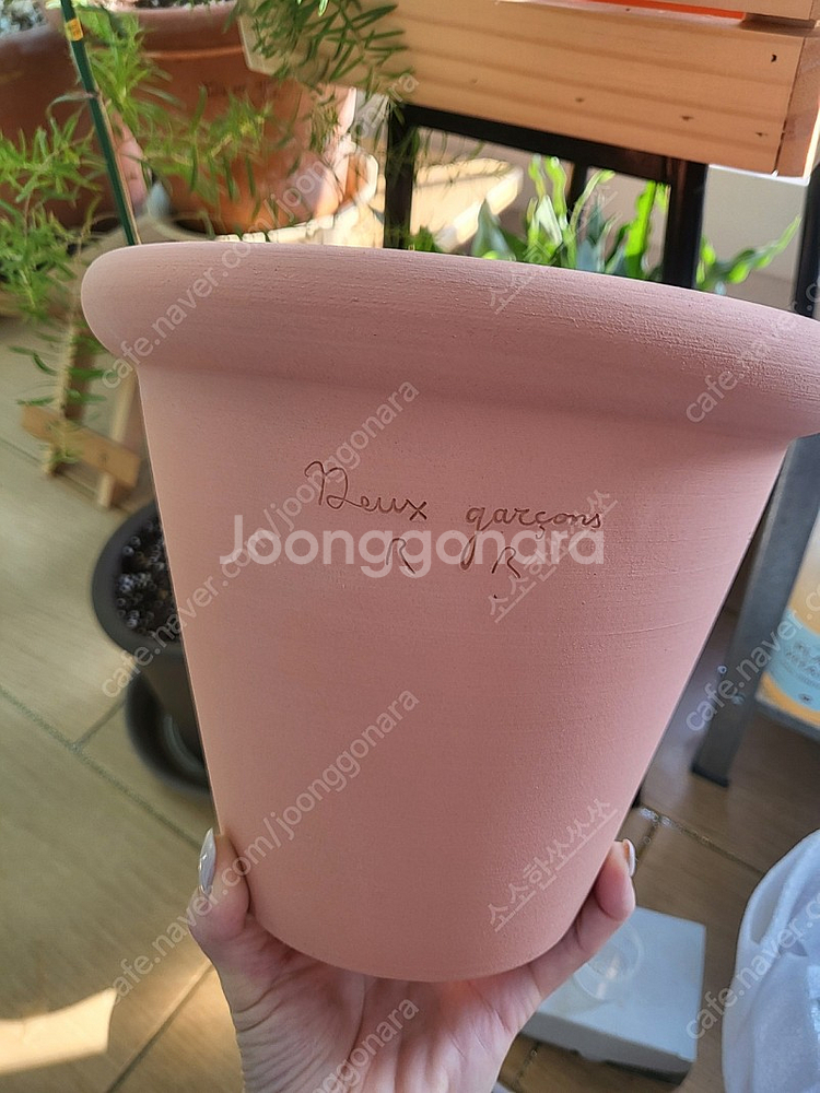 두갸르송 듀가르송 화분 판매--5