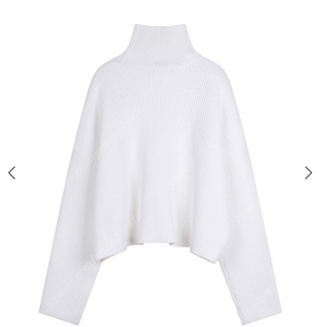 후왓웨어 whowhatwear Cotton turtleneck sweater