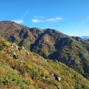 잠발란등산화250구합니다