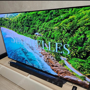 LG OLED 올레드 65인치 TV 백화점제품 OLED65C9CNA