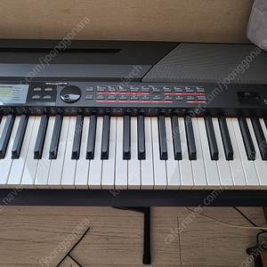 메들리 SP4200 디지털 피아노