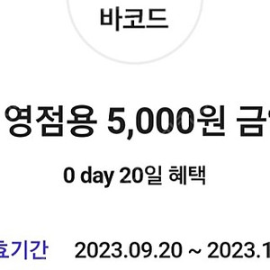 다이소 직영점용 5천원권 4천원 판매(오늘까지)