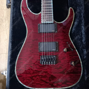 Esp ltd h-1000 디럭스 일렉기타 하드케이스 포함해서 팝니다