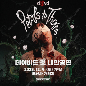 d4vd 데이비드 내한 연석