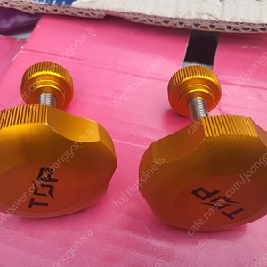 탑레져 고정나사 .카멜레온추