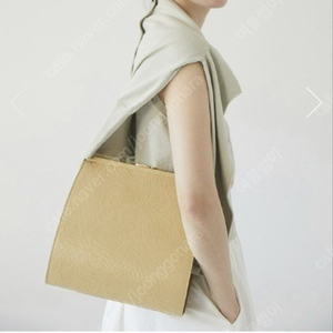 얼바닉30 클라스프 백 Brass Clasp Bag (Lizard)