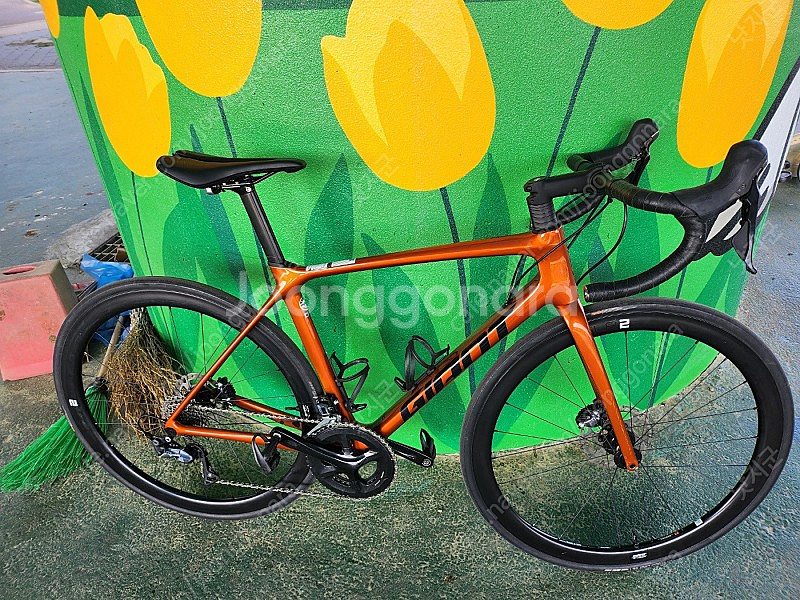 자이언트 2022 TCR Advanced 1+ Pro ...--0