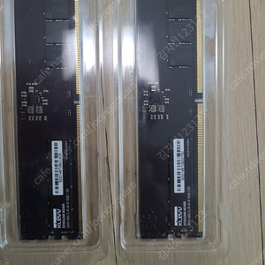 클레브 DDR5 4800 16GB x2