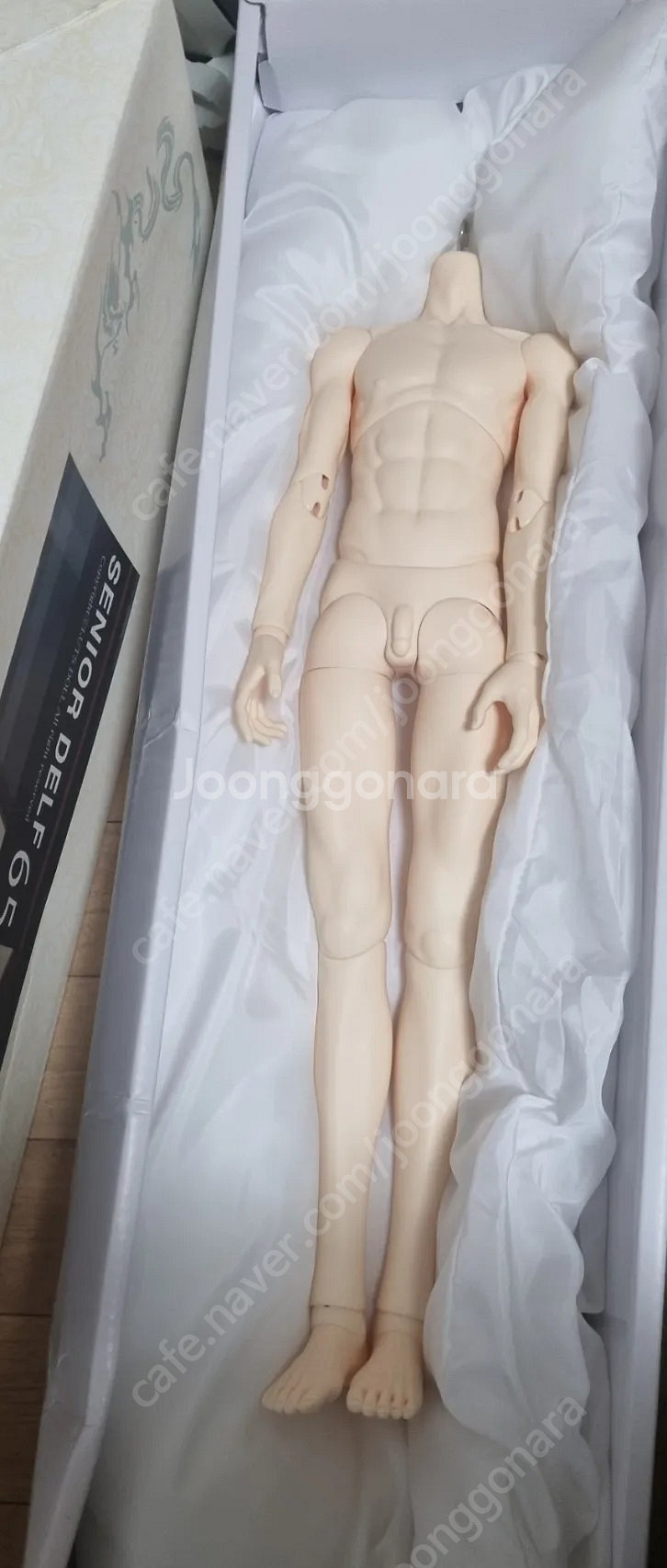 루츠 시니어델프 65 머슬 노멀 바디--0
