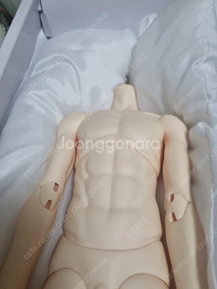 루츠 시니어델프 65 머슬 노멀 바디--1