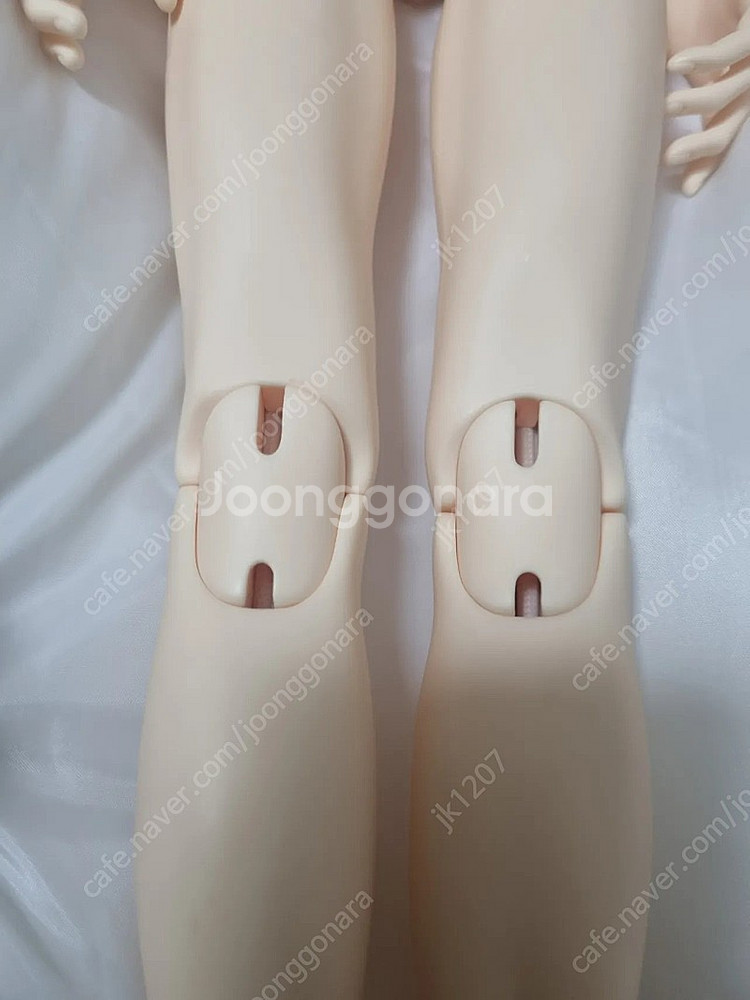 루츠 시니어델프 65 머슬 노멀 바디--3