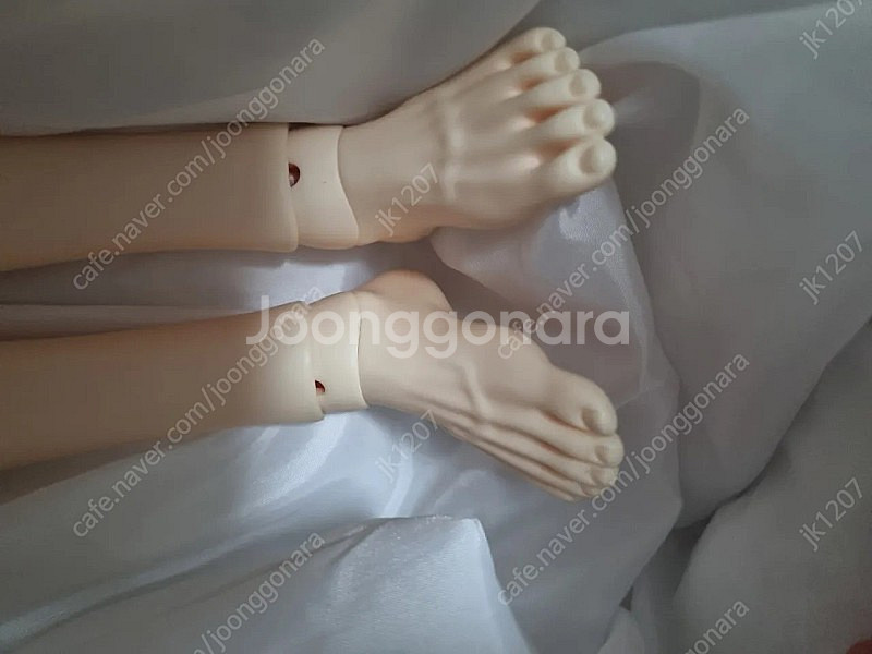 루츠 시니어델프 65 머슬 노멀 바디--6