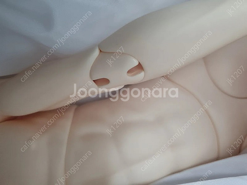 루츠 시니어델프 65 머슬 노멀 바디--8