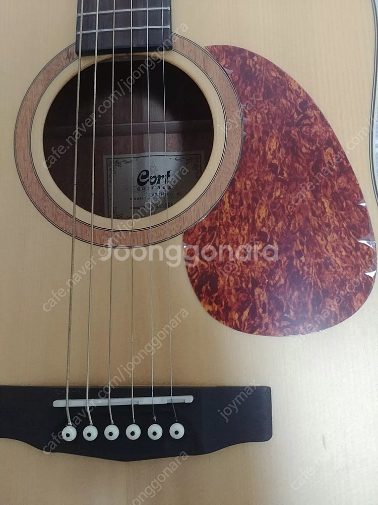 입문용 기타 콜트 어스 earth100 ns--2