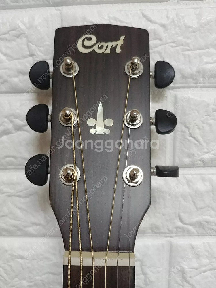 입문용 기타 콜트 어스 earth100 ns--4