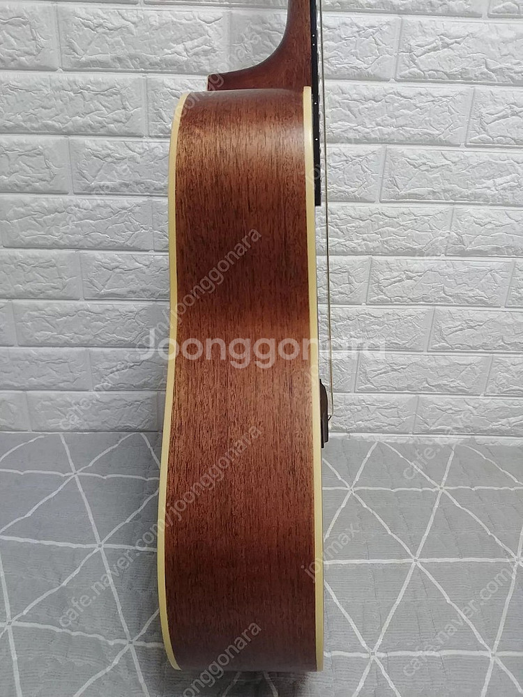 입문용 기타 콜트 어스 earth100 ns--5