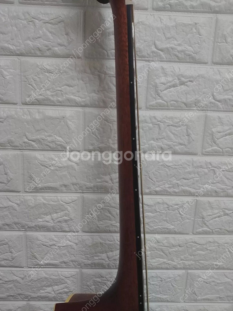 입문용 기타 콜트 어스 earth100 ns--6